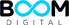 Digital Web SP